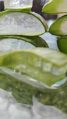 Aloe Vera leaf slices.
