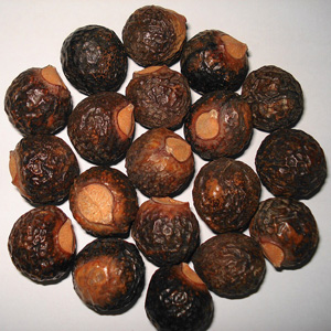 Dried Soapberry Fruit