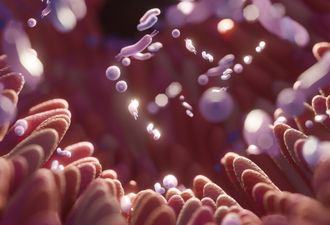 Probiotics